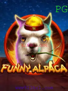 Descubra a Magia de FunnyAlpaca: Diverte-se com Inovação e Criatividade